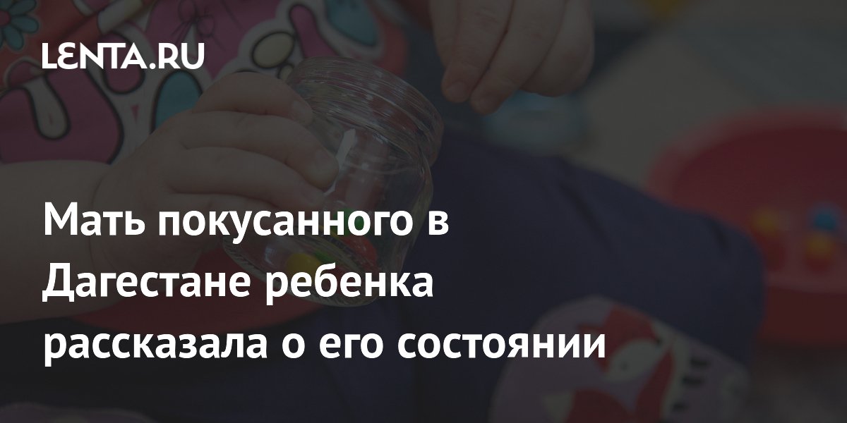 Мать покусанного в Дагестане ребенка: с ним все хорошо, руководство детсада не извинилось
