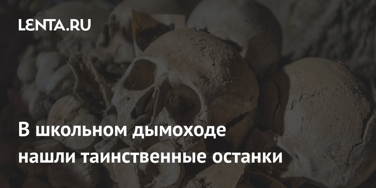 В школьном дымоходе в Нью-Йорке нашли человеческие останки: уборщик почувствовал запах В школьном дымоходе в Нью-Йорке нашли человеческие останки: уборщик почувствовал запах