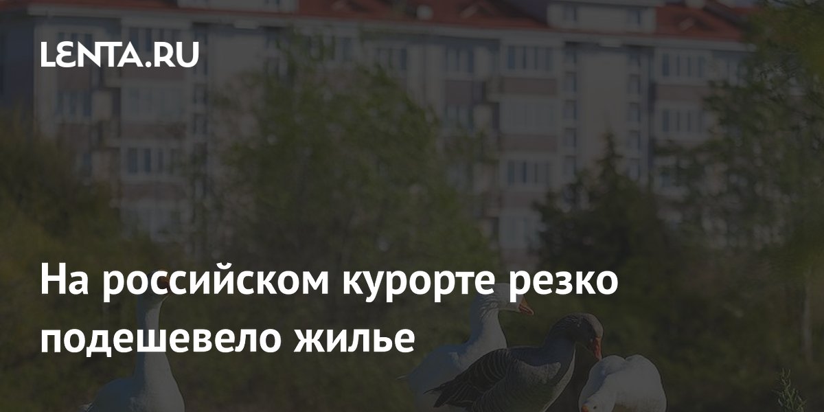 Квартиры в Сочи подешевели на 15%: причины и прогнозы