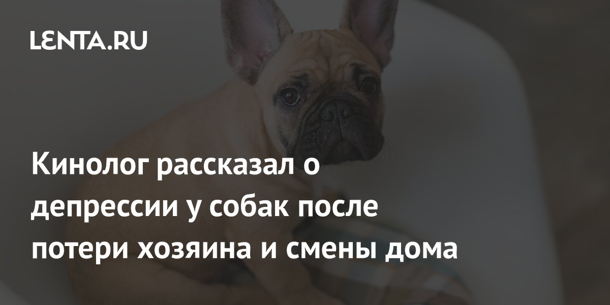 ��� ������ ������ ��� ��������� ����� ������ �������: ������ ��������