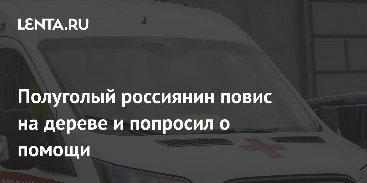 В Красноярске полуголый мужчина выпал с четвертого этажа и зацепился за дерево