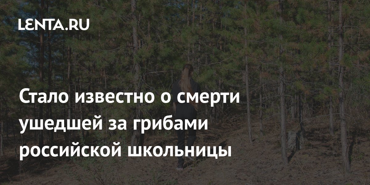 В Ленобласти нашли без признаков жизни 12-летнюю школьницу, ушедшую за грибами