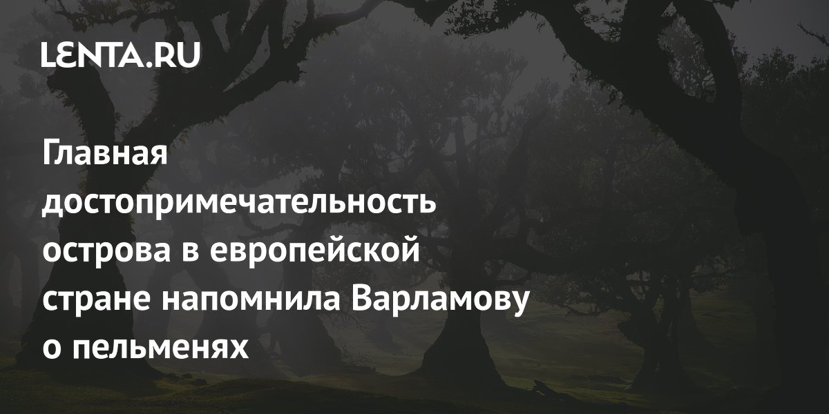 Блогер Варламов сравнил лавровый лес на Мадейре с пельменями Блогер Варламов сравнил лавровый лес на Мадейре с пельменями