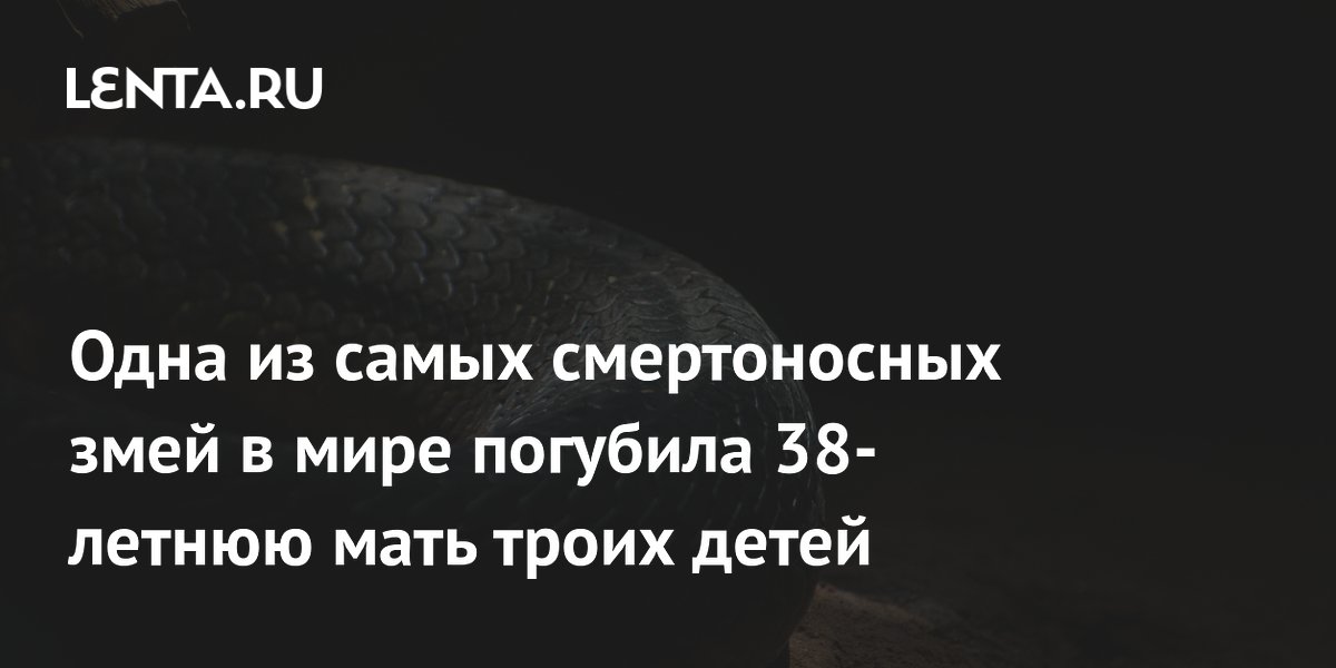 В Гондурасе укус кайсаки унес жизнь 38-летней матери троих детей В Гондурасе укус кайсаки унес жизнь 38-летней матери троих детей