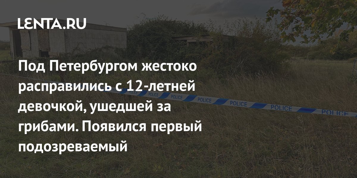 Трагедия под Петербургом: 12-летняя девочка найдена мёртвой после похода за грибами