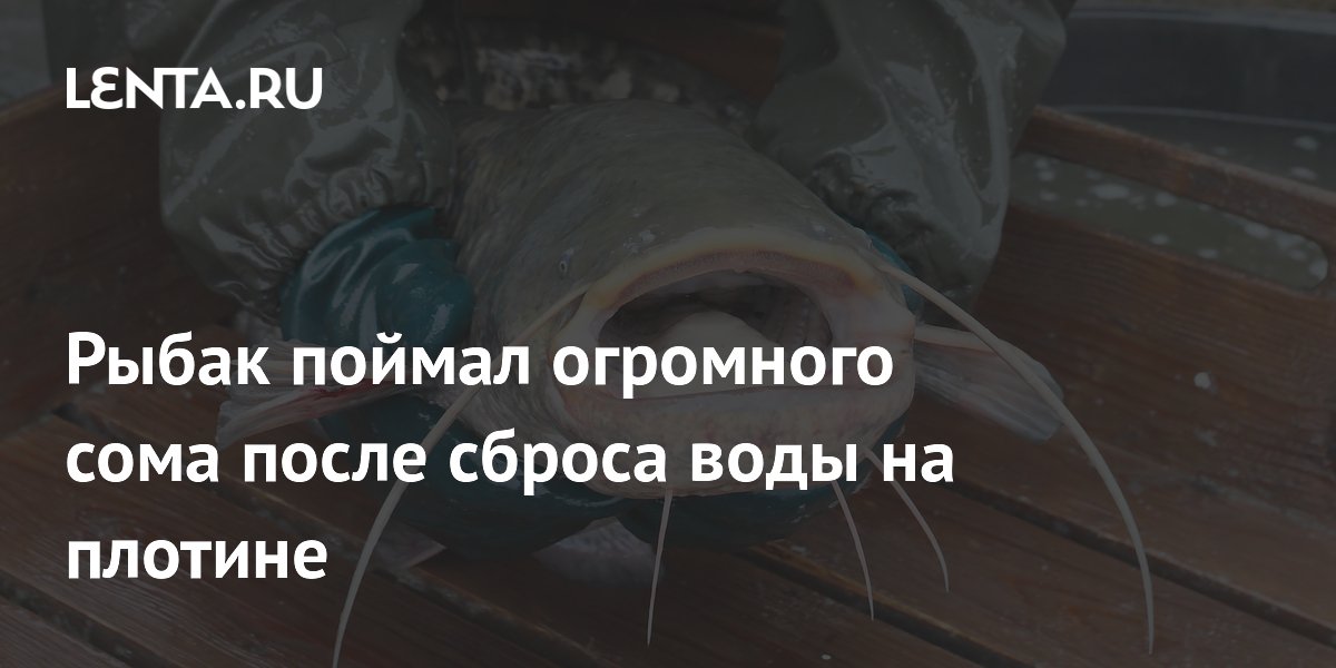 Рыбак из США поймал сома весом 21,8 кг после сброса воды на плотине Рыбак из США поймал сома весом 21,8 кг после сброса воды на плотине