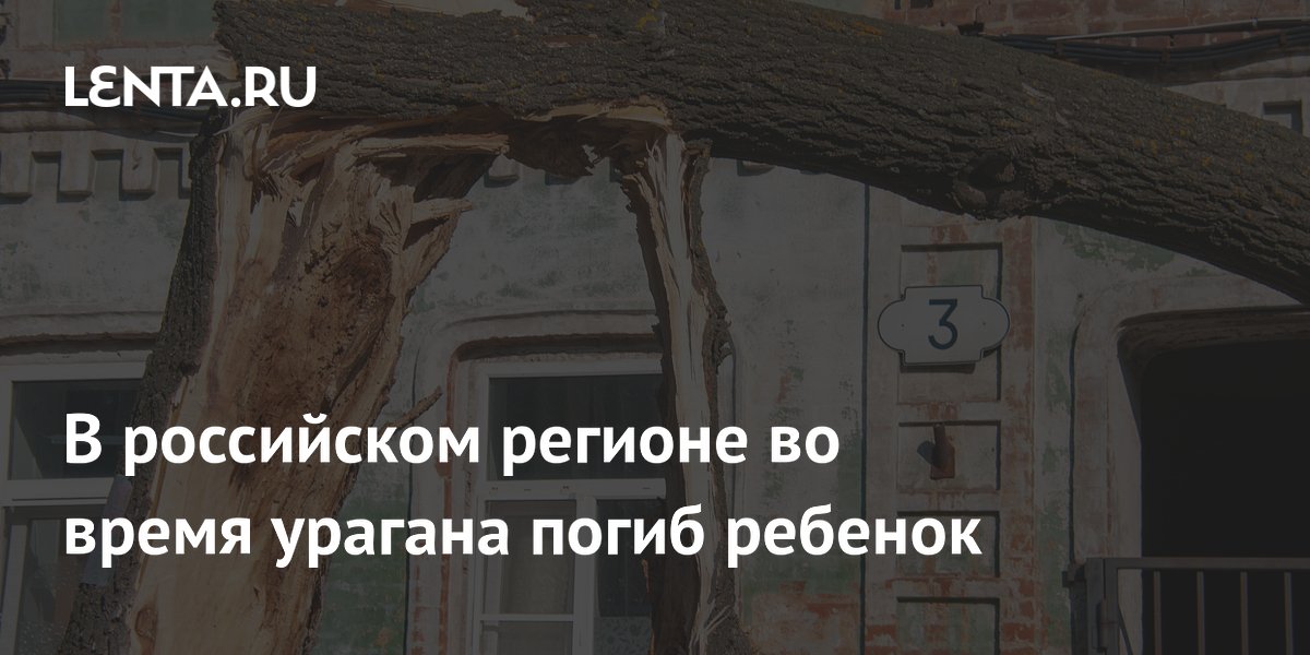 В Нижегородской области во время урагана погиб ребенок: упала часть дома