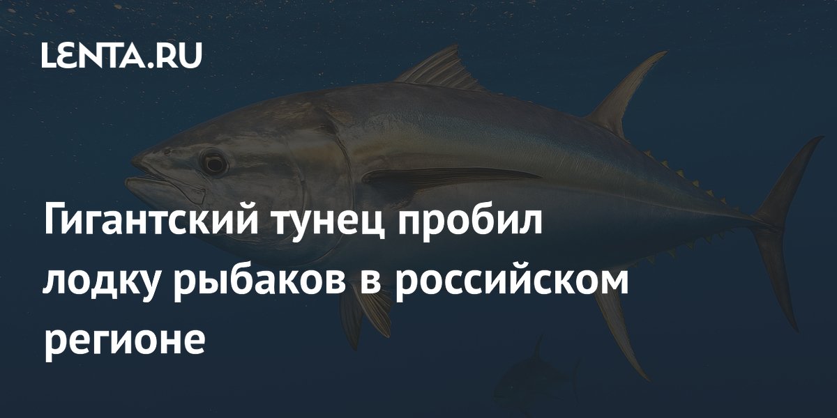 Гигантский тунец пробил лодку рыбаков в Приморье: их спасли коллеги