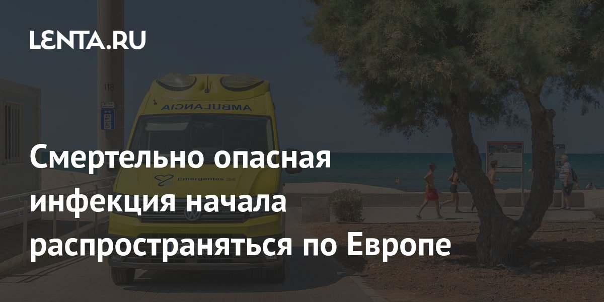 Плотоядная бактерия в Европе: чем опасна и как защититься Плотоядная бактерия в Европе: чем опасна и как защититься