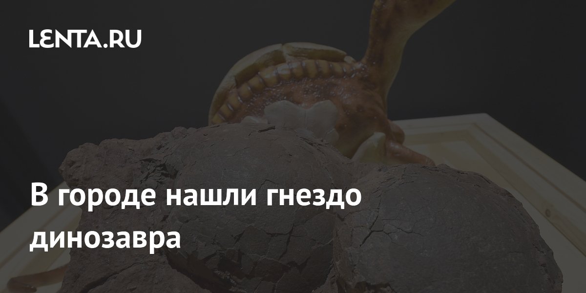 В Китае нашли гнездо динозавра: яйца возрастом 70 миллионов лет В Китае нашли гнездо динозавра: яйца возрастом 70 миллионов лет