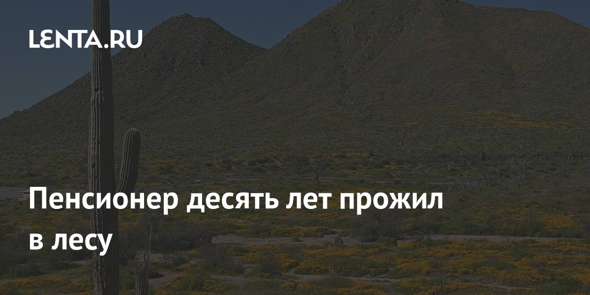 ��������� ������� ������ � ���� � 10 ��� ��� ����� ������: ��� ��� ������
