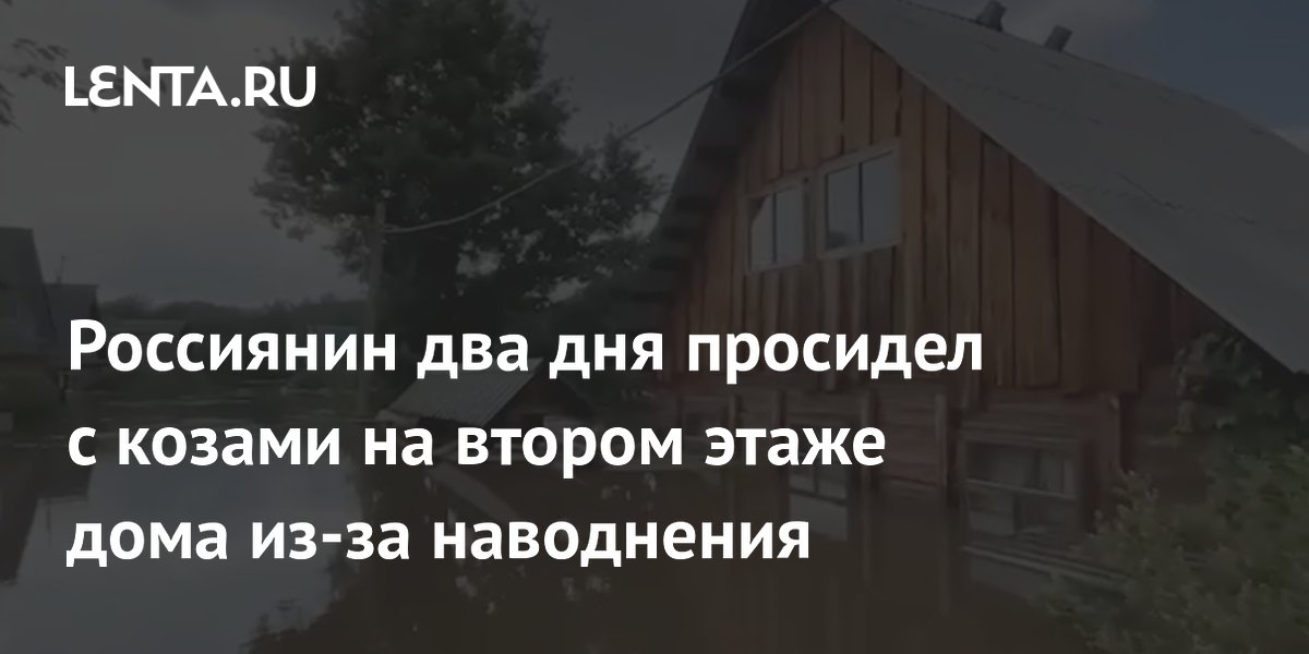 Мужчина спас коз и кроликов на втором этаже дома во время наводнения под Нижним Тагилом