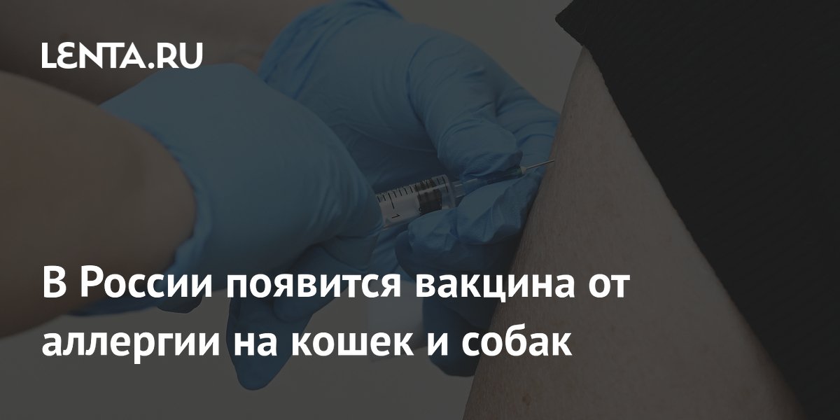� ������ ������� ������� �� �������� �� ����� � �����: ��� ������ � ��������
