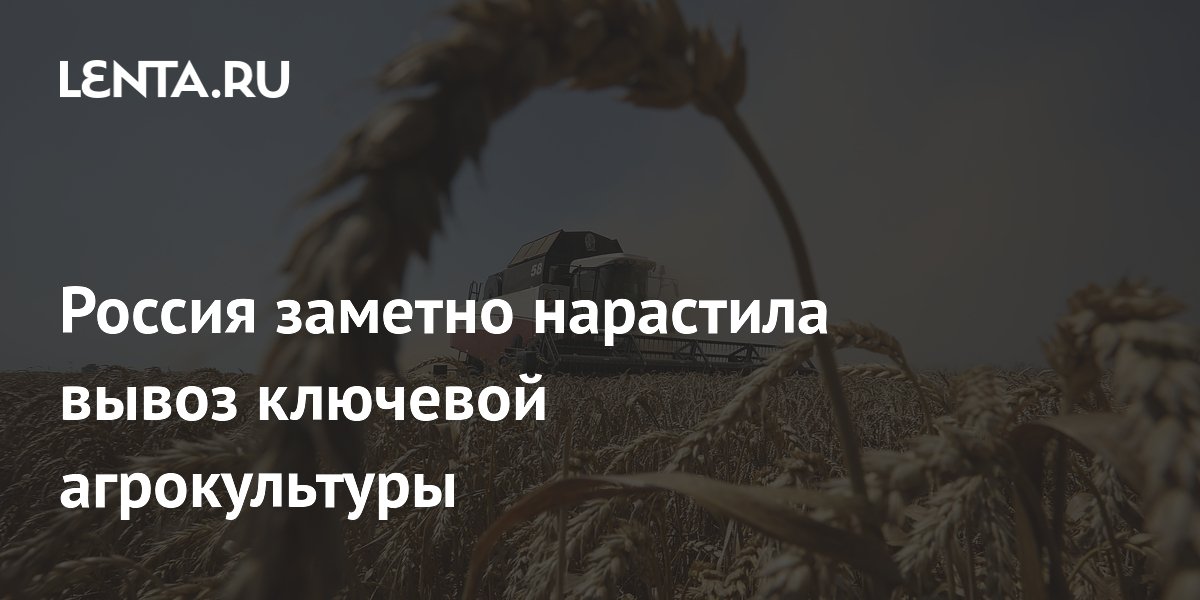 Россия увеличила экспорт пшеницы почти на 14% за сельхозгод