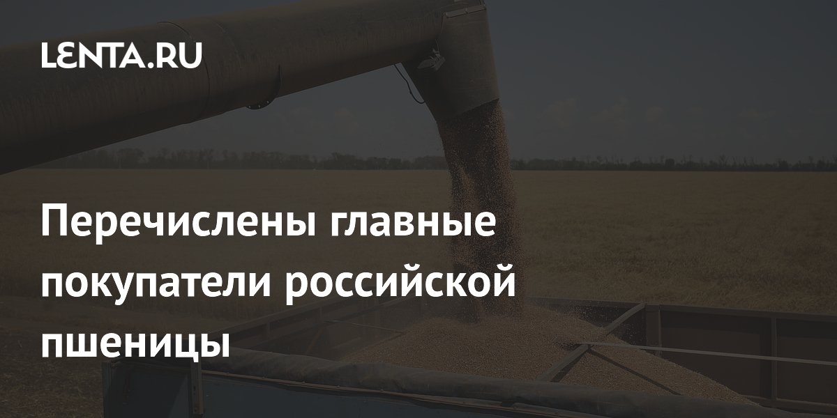 Названы главные покупатели российской пшеницы: Египет и Турция лидируют