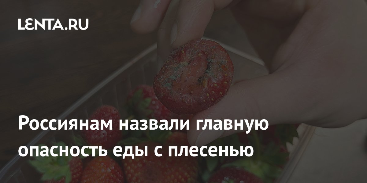 Врач назвала главную опасность еды с плесенью: невидимые микотоксины ведут к раку