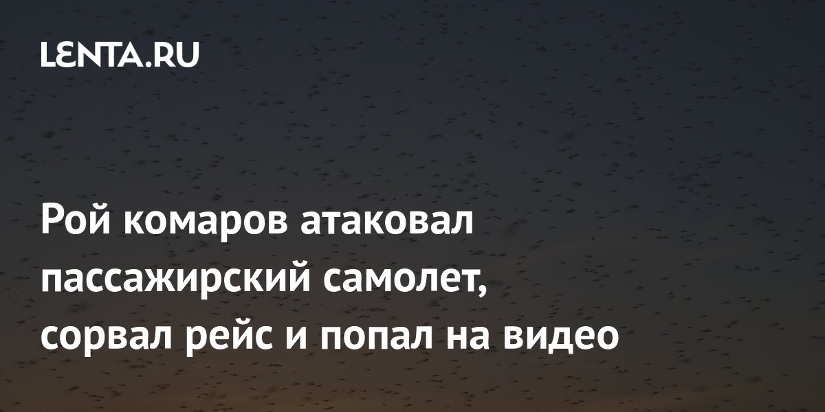 Рой комаров атаковал самолет Ryanair и сорвал рейс из Милана в Аликанте