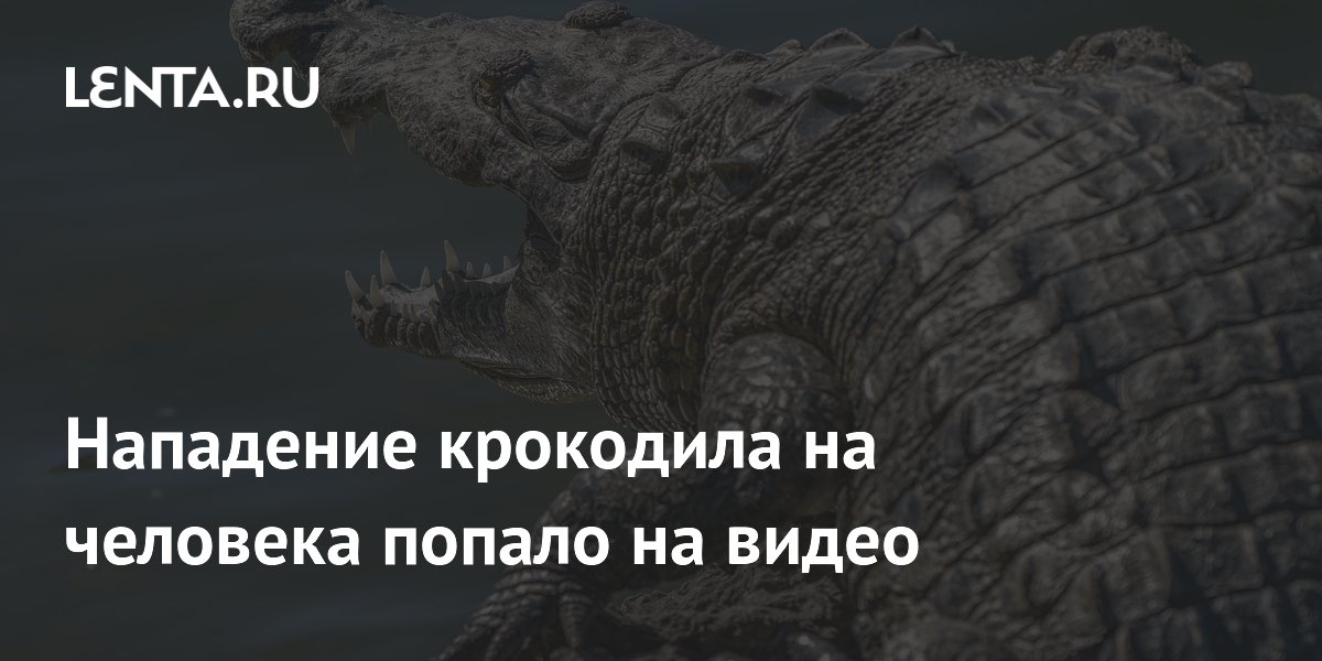 В Индонезии крокодил утащил рыбака под воду: видео нападения
