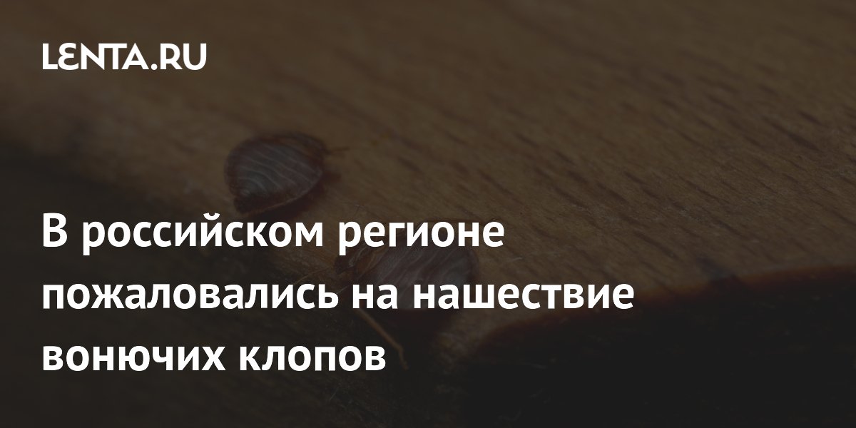 Жители Ростовской области переезжают из-за нашествия вонючих клопов Жители Ростовской области переезжают из-за нашествия вонючих клопов