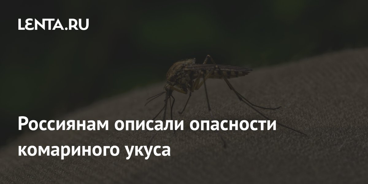 Роспотребнадзор: один укус комара может заразить малярией и лихорадкой Роспотребнадзор: один укус комара может заразить малярией и лихорадкой