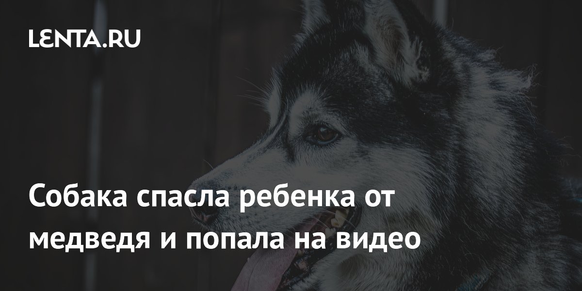 ����� ������ ������� �� ������� � ���: ����� ���������