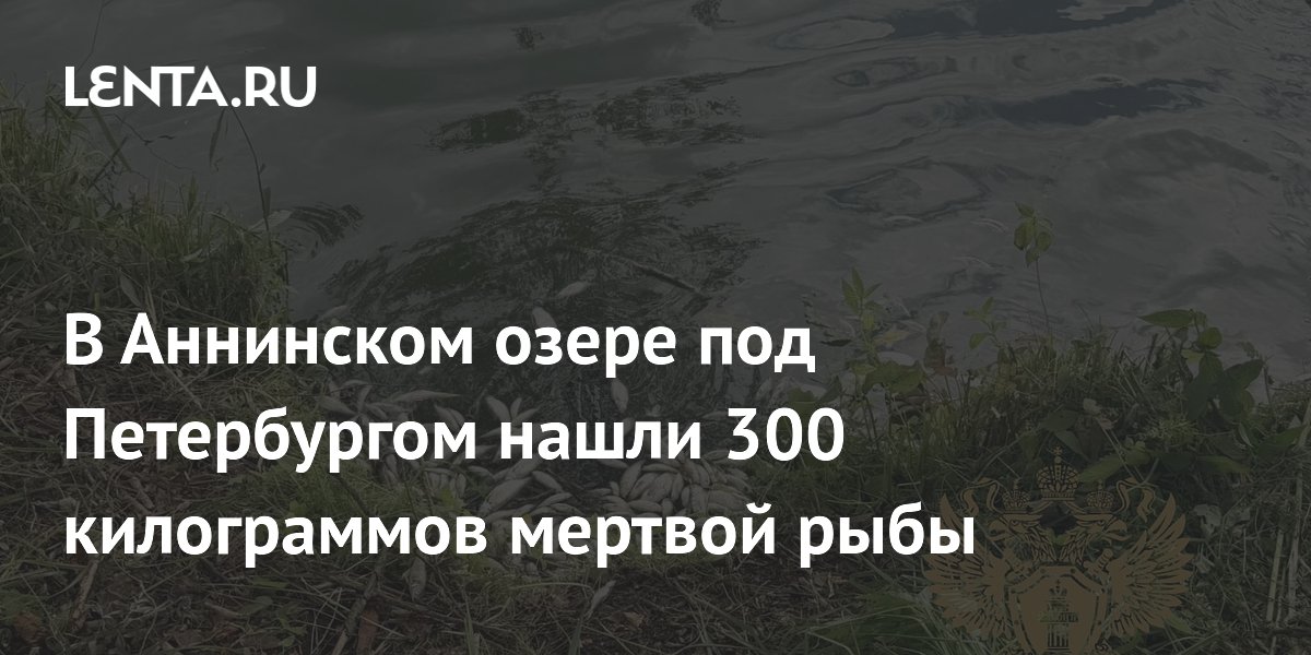 � ��������� ����� ��� ����������� ��������� �������� 300 �� ������� ����