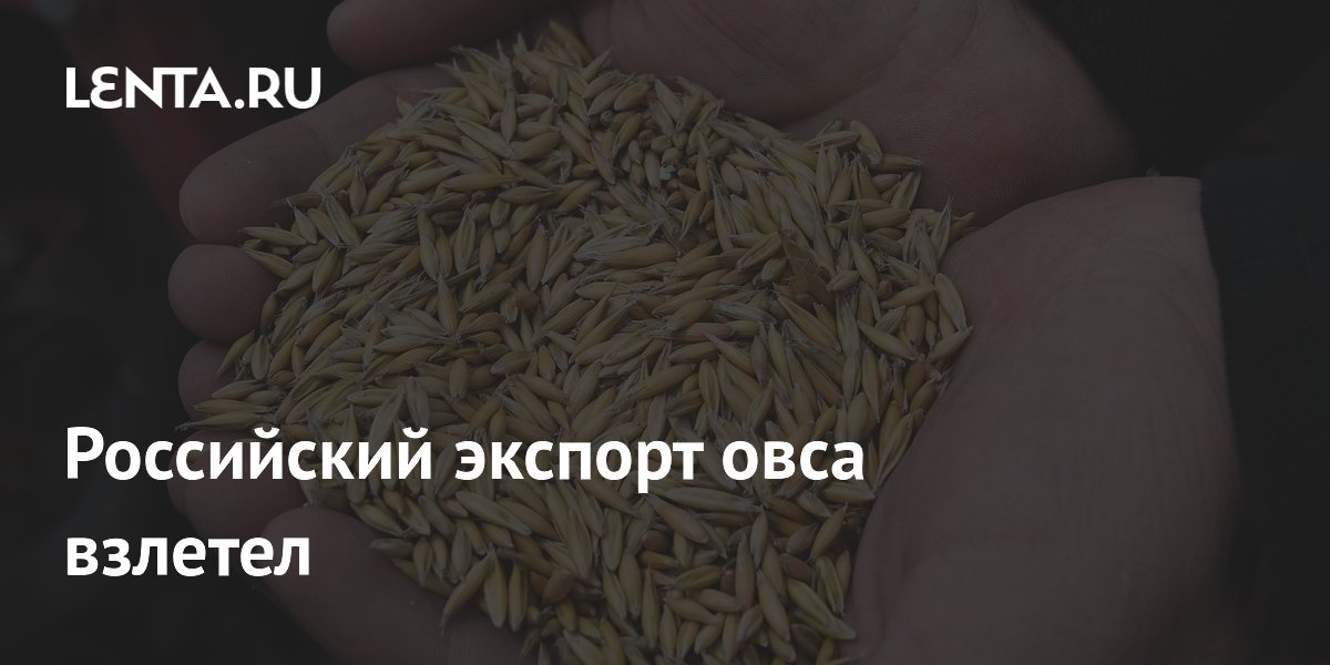 Российский экспорт овса вырос на 61% за полгода Российский экспорт овса вырос на 61% за полгода