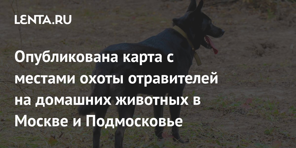 Опубликована карта мест активности догхантеров в Москве и Подмосковье