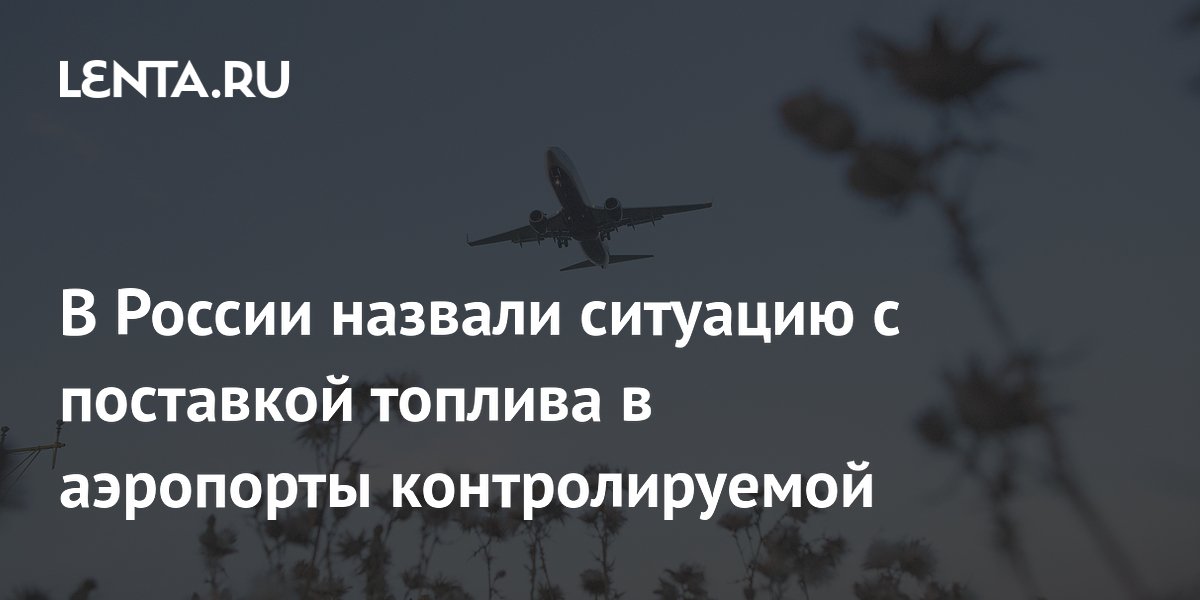 Глава Росавиации заявил о контроле над поставками топлива в аэропорты Глава Росавиации заявил о контроле над поставками топлива в аэропорты