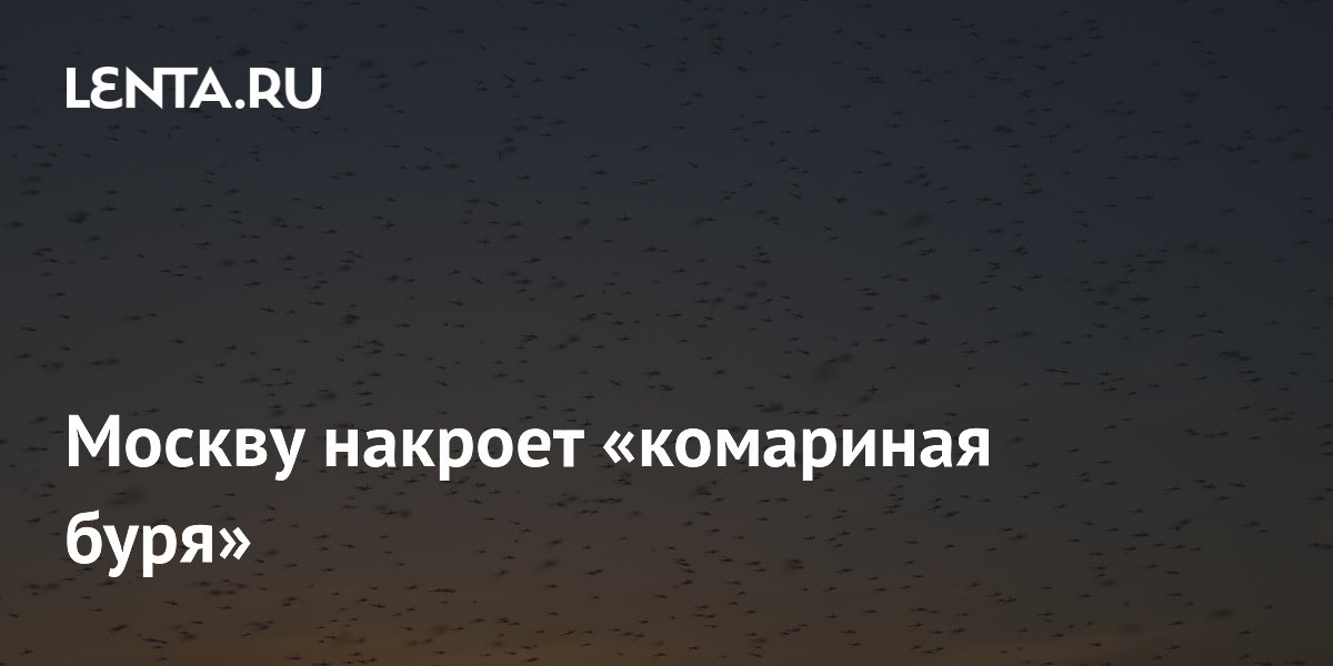 Эколог предупредил о «комариной буре» в Москве в конце июля