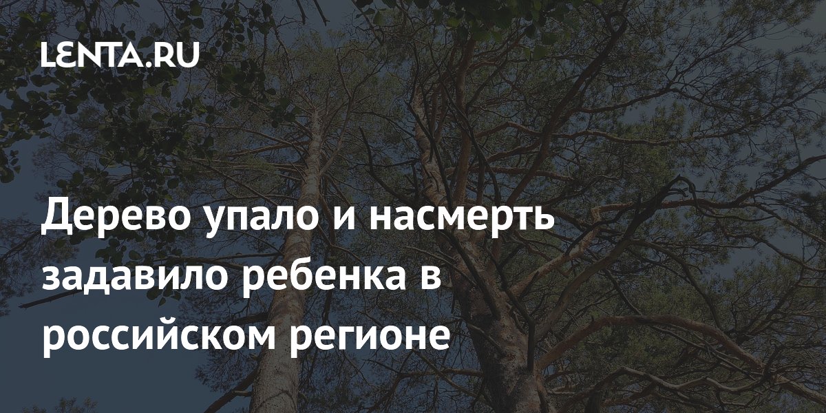 � �������� ������� ������� ������ �������� �������� ����������� ��������