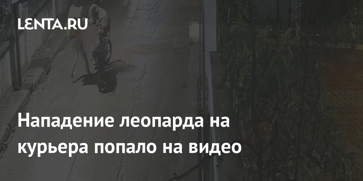 � ����� ������� ����� �� �������: ��� ����� ���� ��� ������� � ����� ������