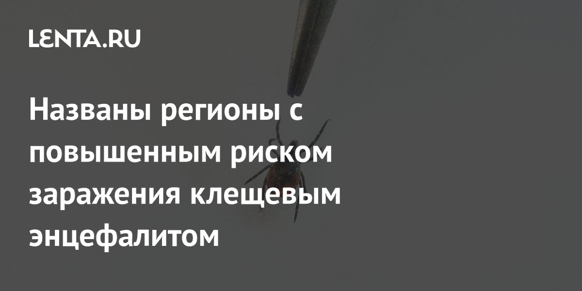 Названы регионы с повышенным риском заражения клещевым энцефалитом — где опаснее всего