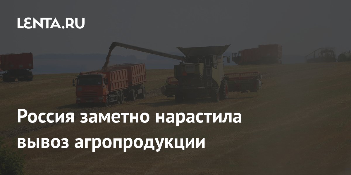 Российский экспорт агропродукции вырос на 20,3% за пять месяцев