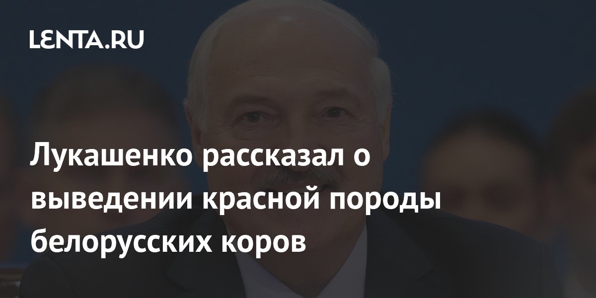 Лукашенко поручил создать программу по разведению красной породы коров