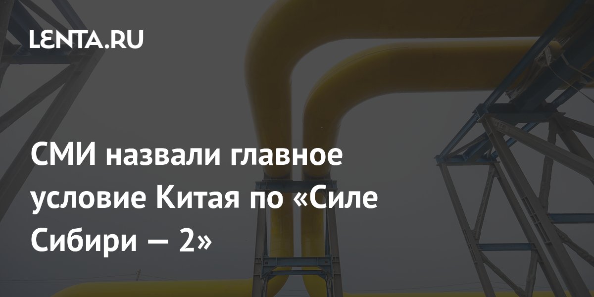 Китай готов покупать газ по «Силе Сибири-2» только по внутренним ценам РФ