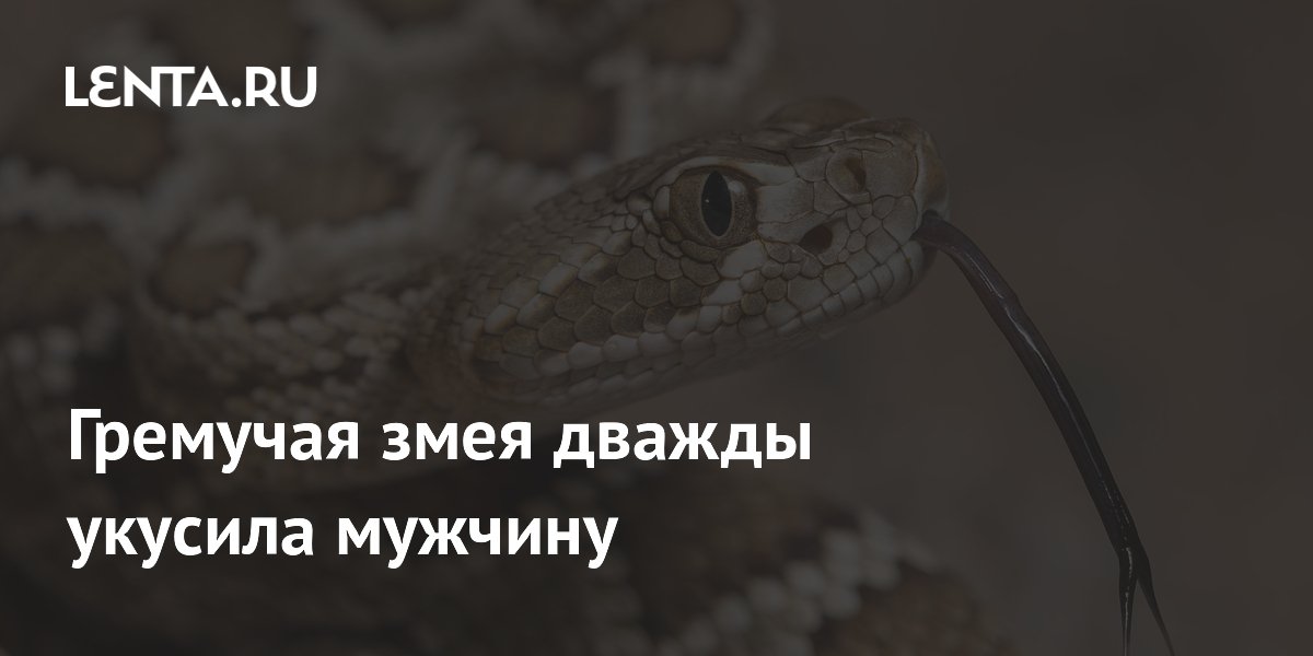 ������� ����� ����� ���� ������ �������� ���� ��������� 54 ����� �����������