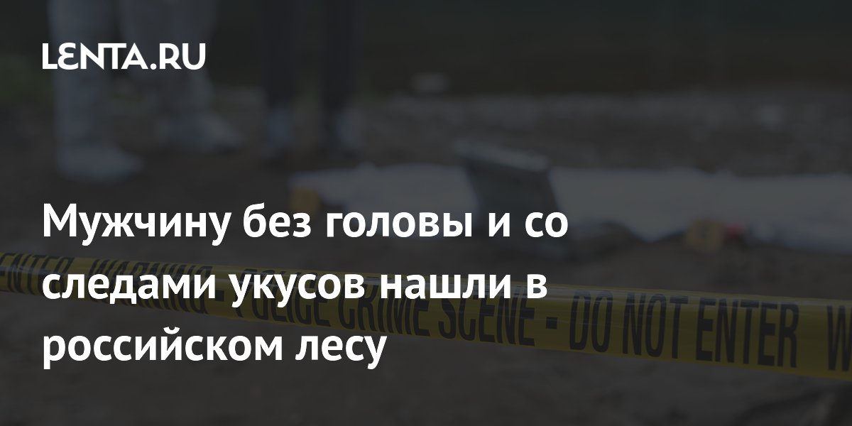 В лесу под Олой нашли обезглавленное тело мужчины со следами укусов