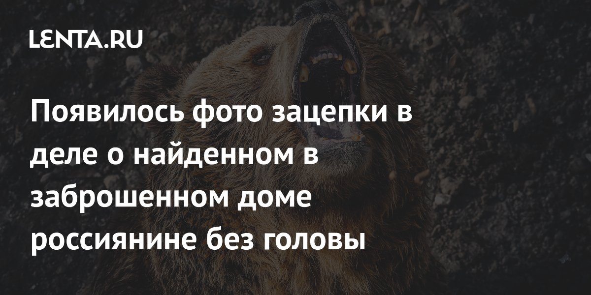 СК показал фото следов медведя рядом с останками мужчины без головы в Магаданской области