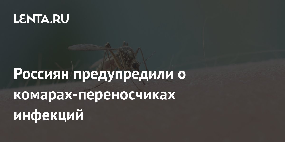 Роспотребнадзор предупредил о комарах-переносчиках опасных инфекций в южных регионах