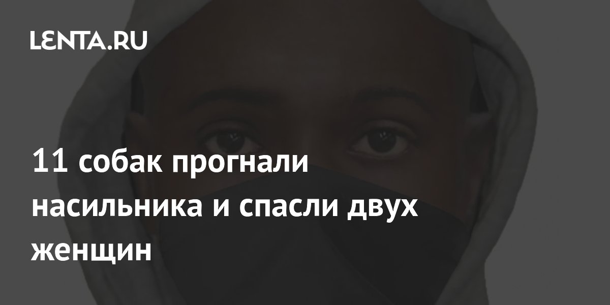 � ��������� 11 ����� �������� ���������� � ������ ���� ������