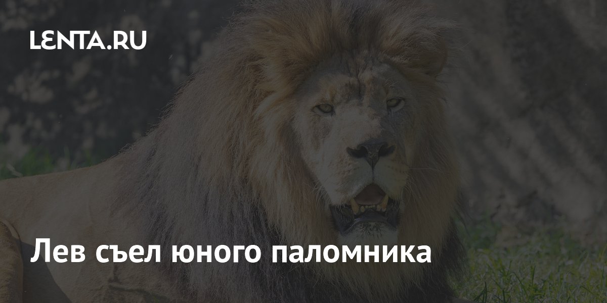 � ����� ��� ����� �� 11-������� ��������� �� ��������� ����