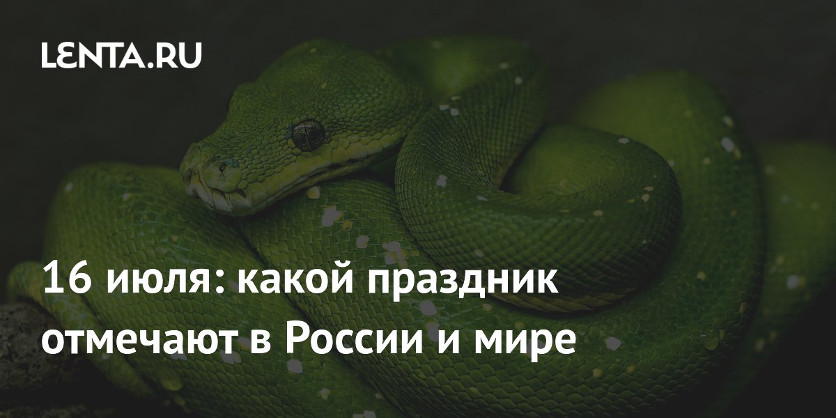 День змей и морских свинок: что отмечают 16 июля