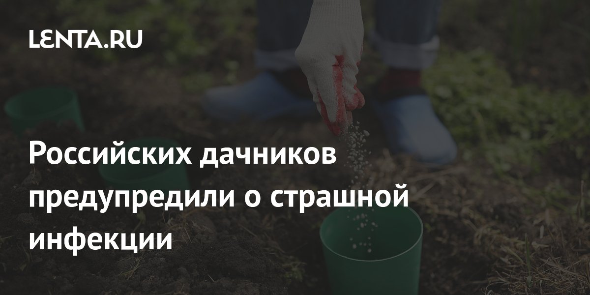 Роспотребнадзор предупредил дачников о риске туляремии и способах защиты