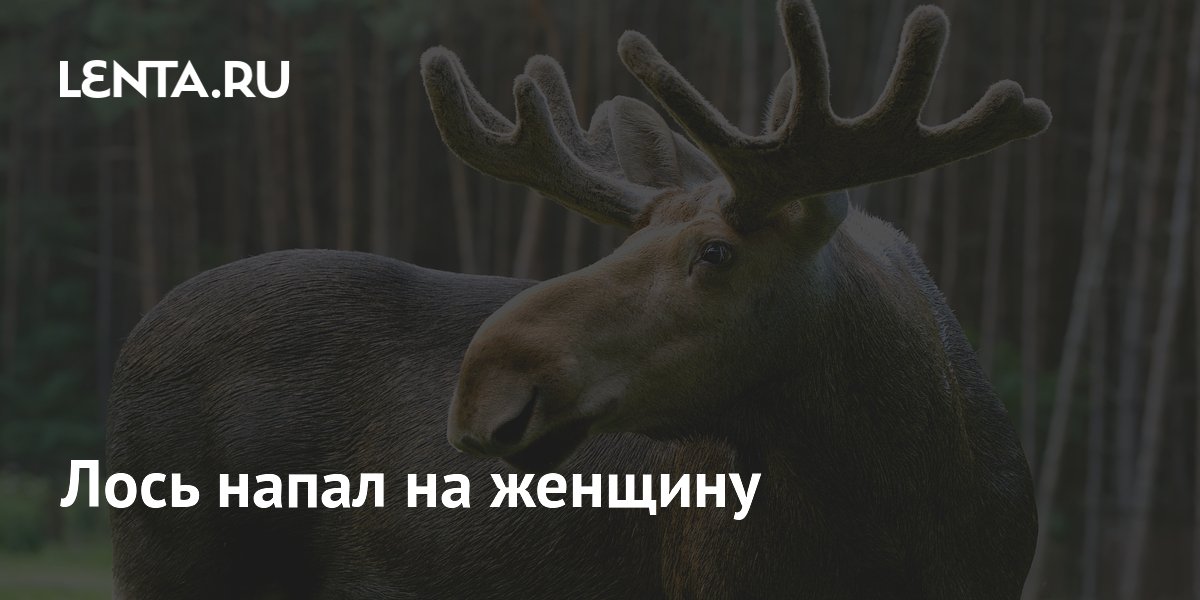 ���� �������� ������� � ����: ������� ������� ������ �� ����� ��������