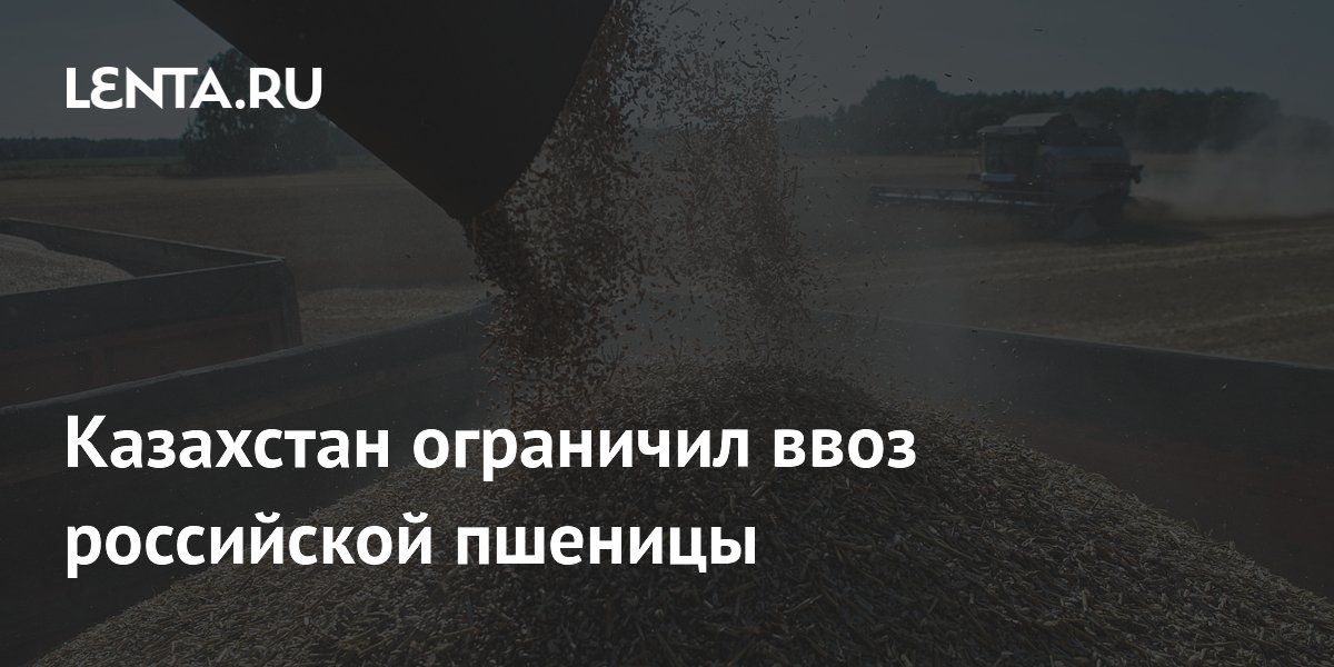 Казахстан на полгода частично запретил ввоз пшеницы из России