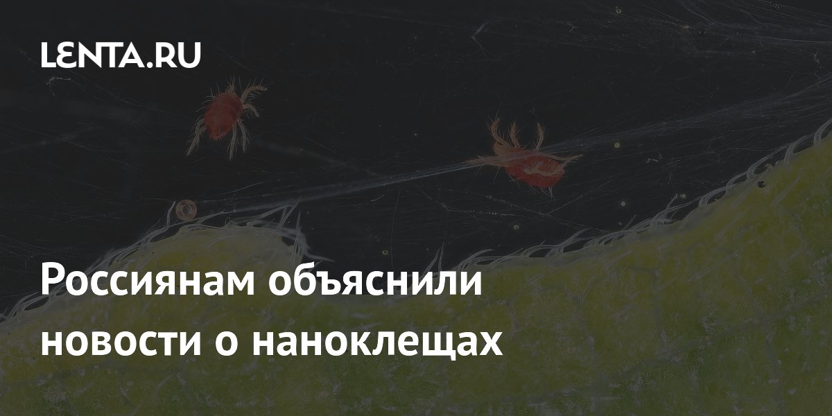 Наноклещей не существует: Роспотребнадзор объяснил, кто на самом деле кусает россиян