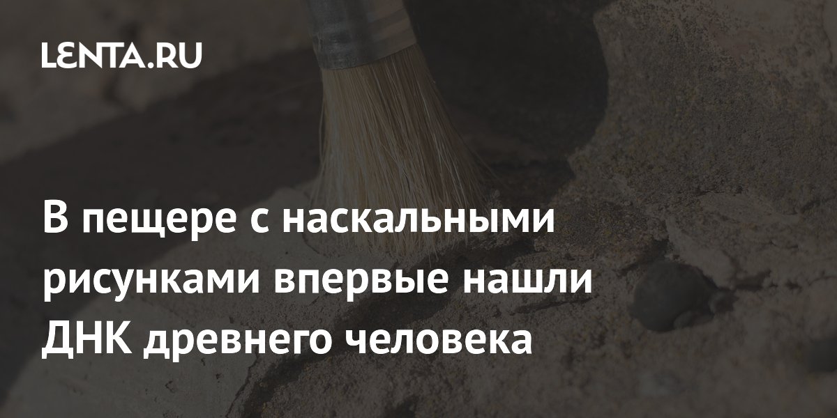 ДНК древнего человека впервые нашли на стенах пещер с рисунками