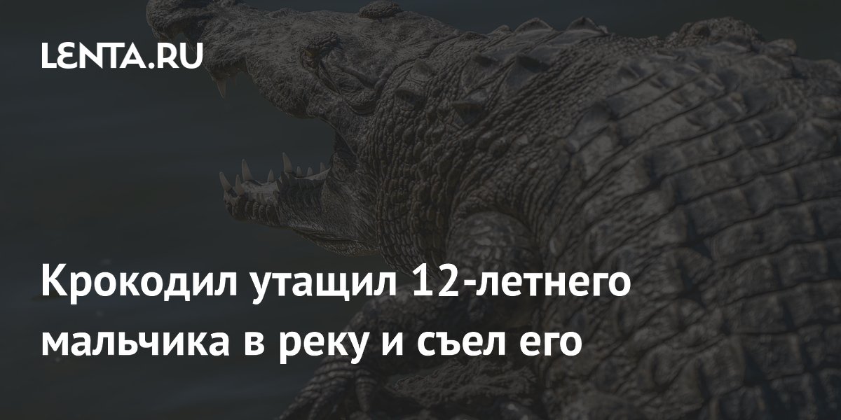 �������� ����� �� 12-������� �������� � �����: ����� ������������ � ����