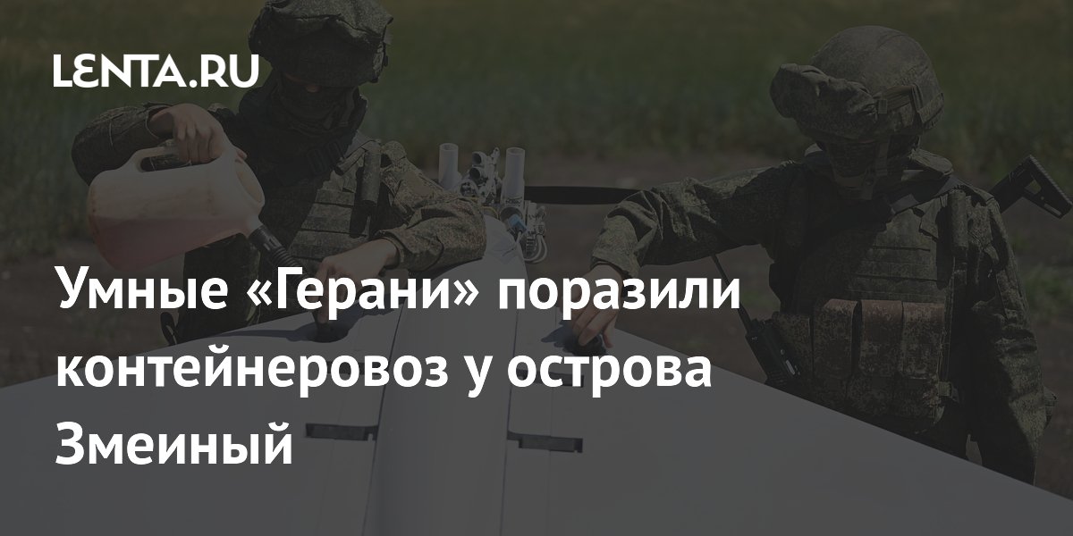 Российские дроны «Герань» поразили контейнеровоз у острова Змеиный